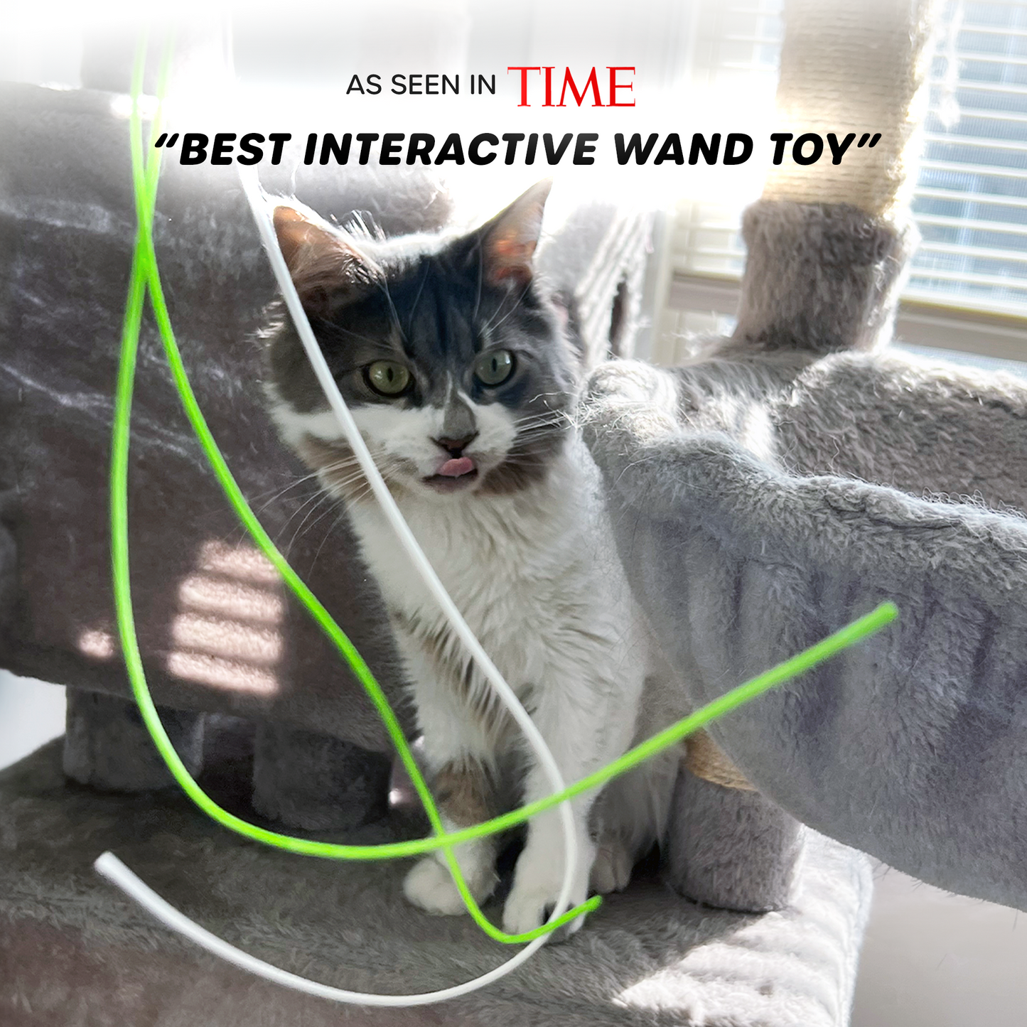 Photo of a fluffy gray cat licking its lips in anticipation, poised to chase the strings of the Wiggle Wand™ Cat Toy, with Time Magazine's quote at the top stating it as the best interactive wand toy.
