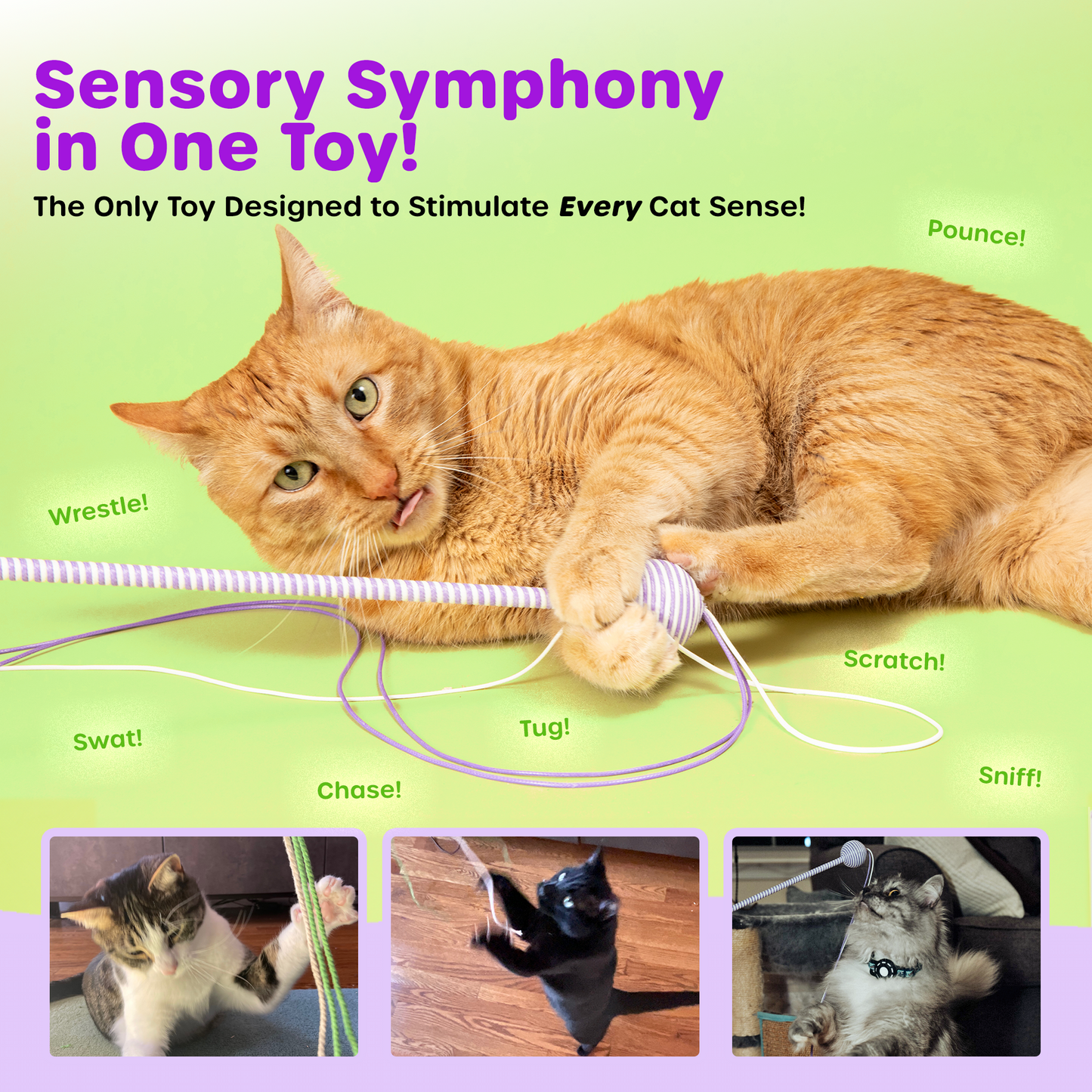 Graphic collage showing diverse cats actively playing with the Wiggle Wand™ Cat Toy, accompanied by text highlighting it as the only toy designed to stimulate all cat senses, showcasing its universal appeal and multifunctional design.