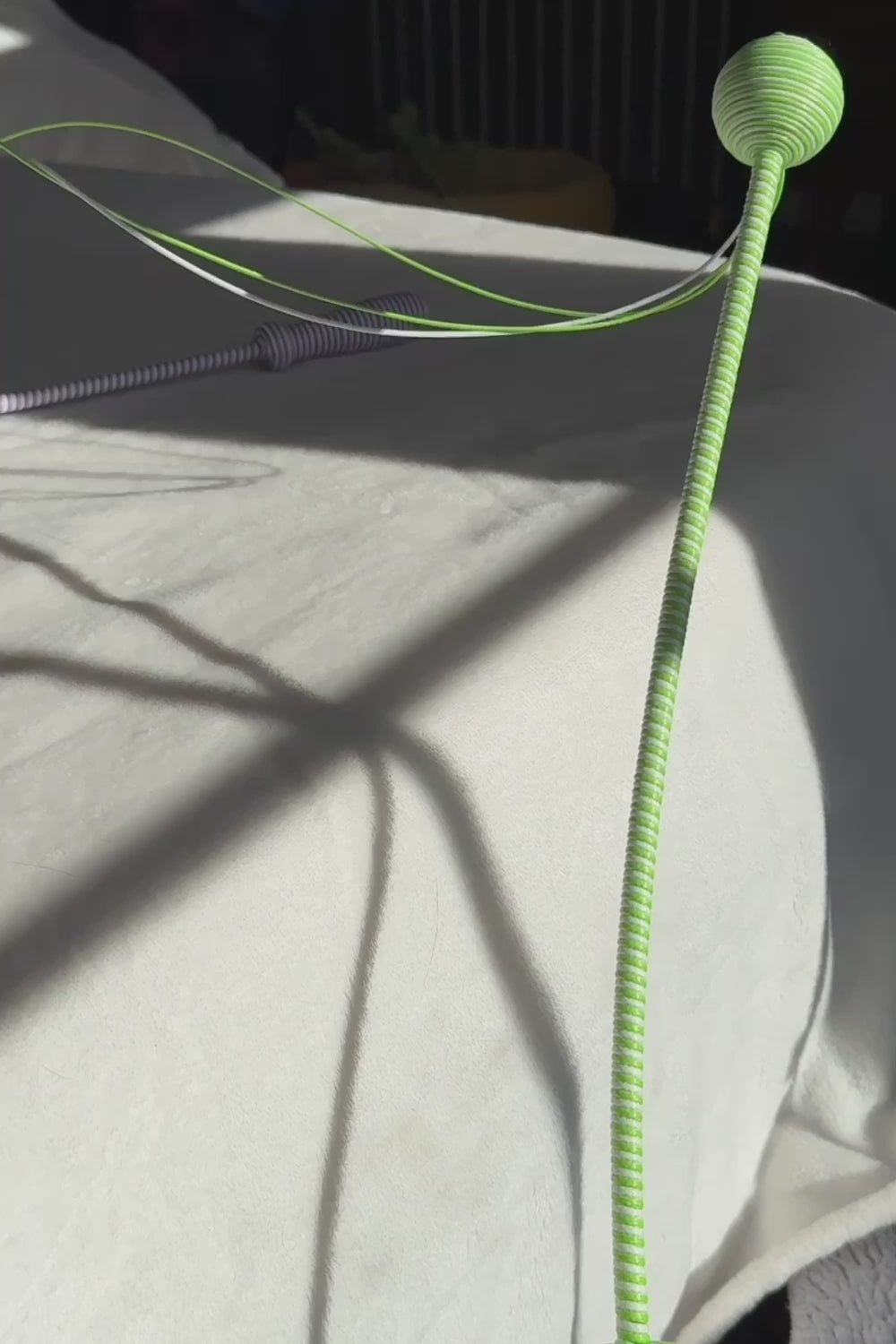 Happy cat chasing Wiggle Wand toy on bed