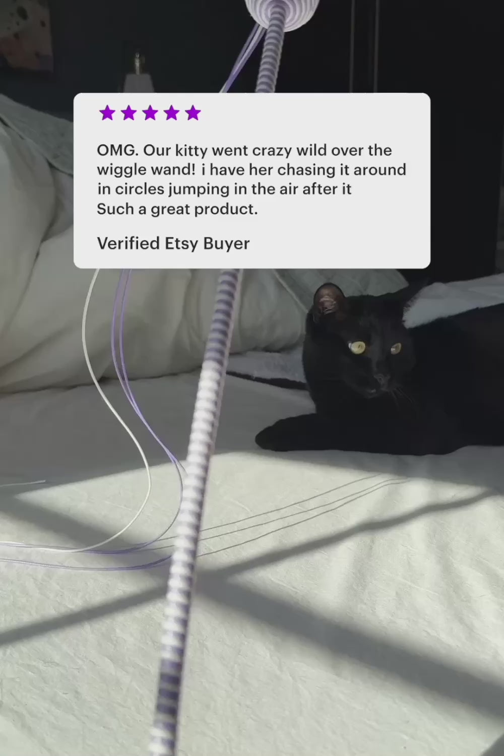 Wiggle Wand providing exercise and mental stimulation for cats