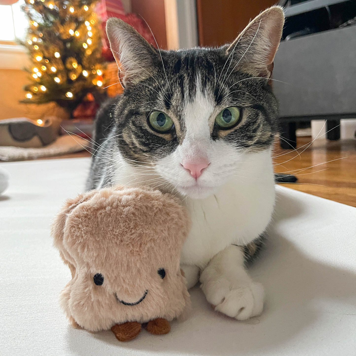 Cute Toast Plush Catnip Toy