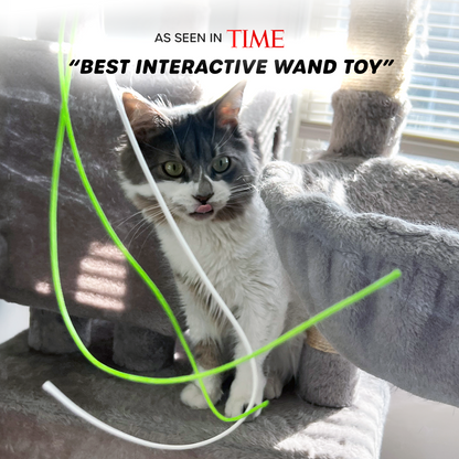 Photo of a fluffy gray cat licking its lips in anticipation, poised to chase the strings of the Wiggle Wand™ Cat Toy, with Time Magazine's quote at the top stating it as the best interactive wand toy.